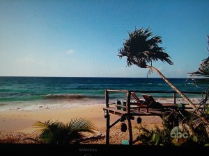 Bachelor in Paradise